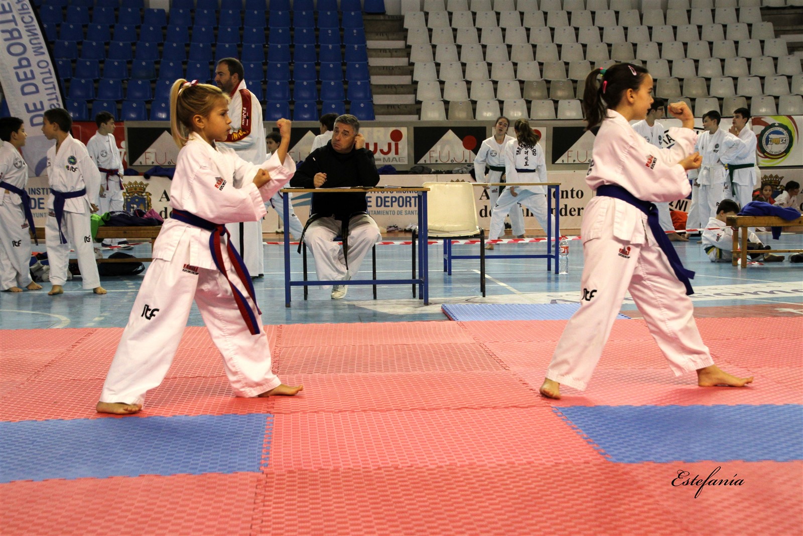 Taekwondo (153).jpg